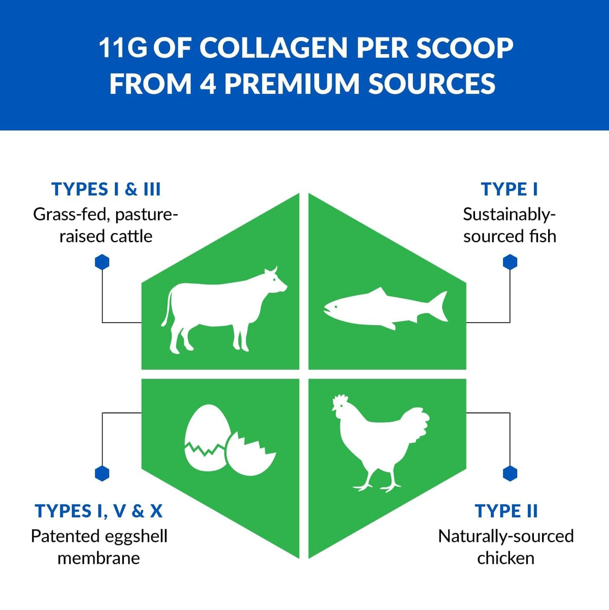 Unflavored Hydrolyzed Collagen Peptides Powder 3 Pack S215
