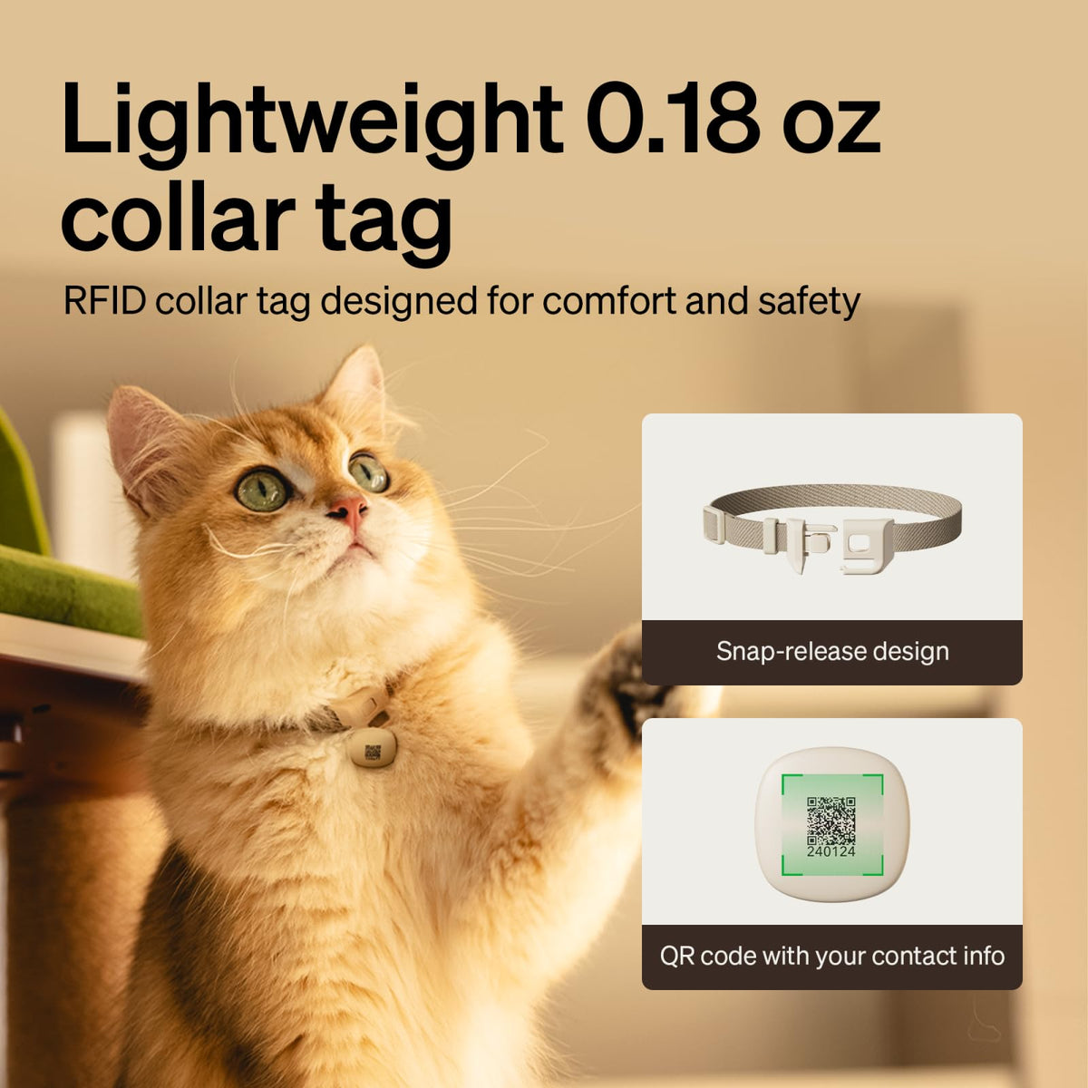 RFID Automatic Cat Feeders for 2 Cats B62939