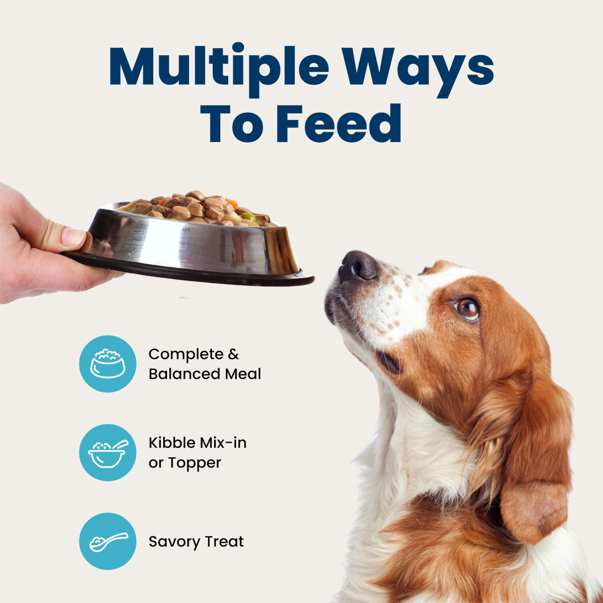 Wet Dog Food 12.5 oz 6 ct E27547