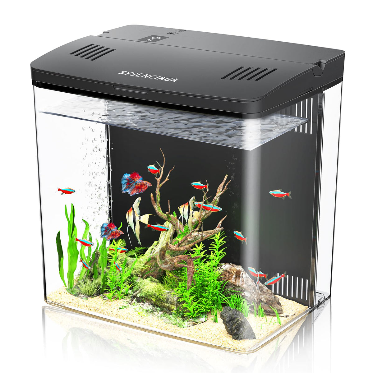 1 Gallon Acrylic Fish Tank Kit with Filter and Light R920254