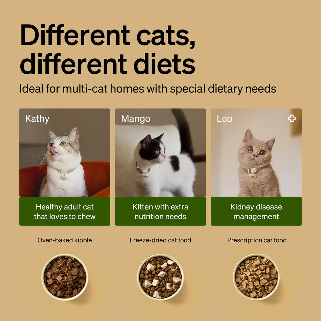 RFID Automatic Cat Feeders for 2 Cats B62939