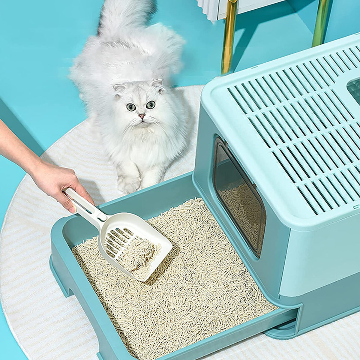 Foldable Large Top Entry Anti-Splashing Cat Litter Box with Lid and Scoop S926746