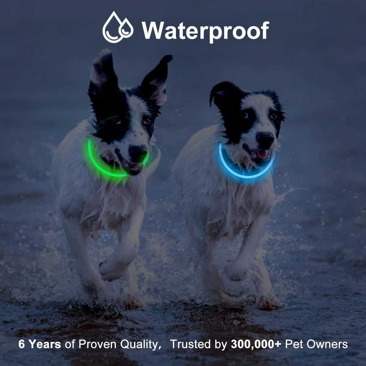 2-Pack Rechargeable LED Dog Collar G995759