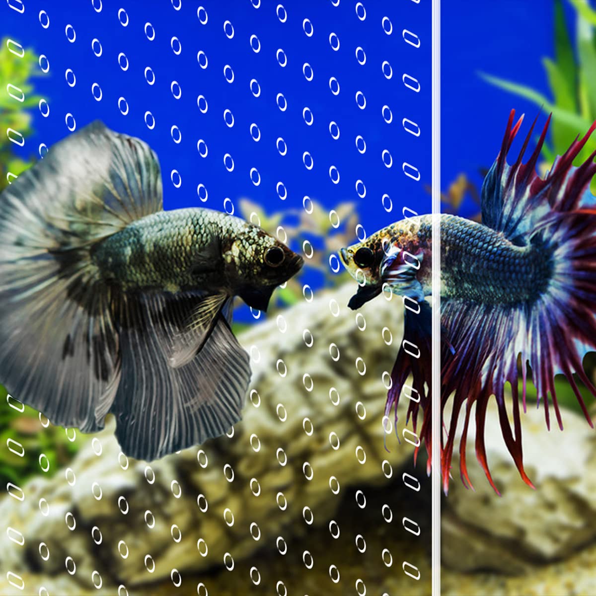 Clear Aquarium Divider O903