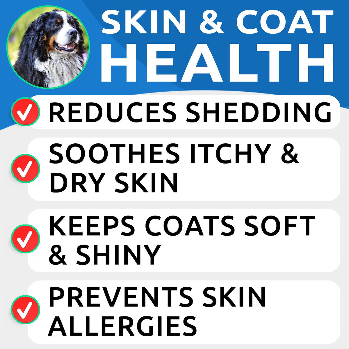 Dog Probiotics Chews + Omega 3 Bundle H8787