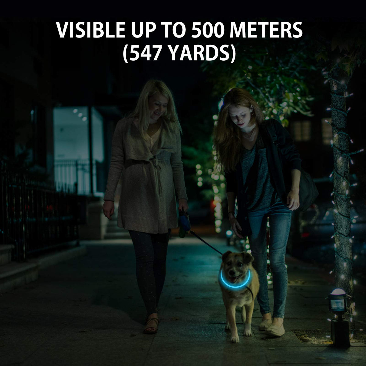 2-Pack Rechargeable LED Dog Collar G995759