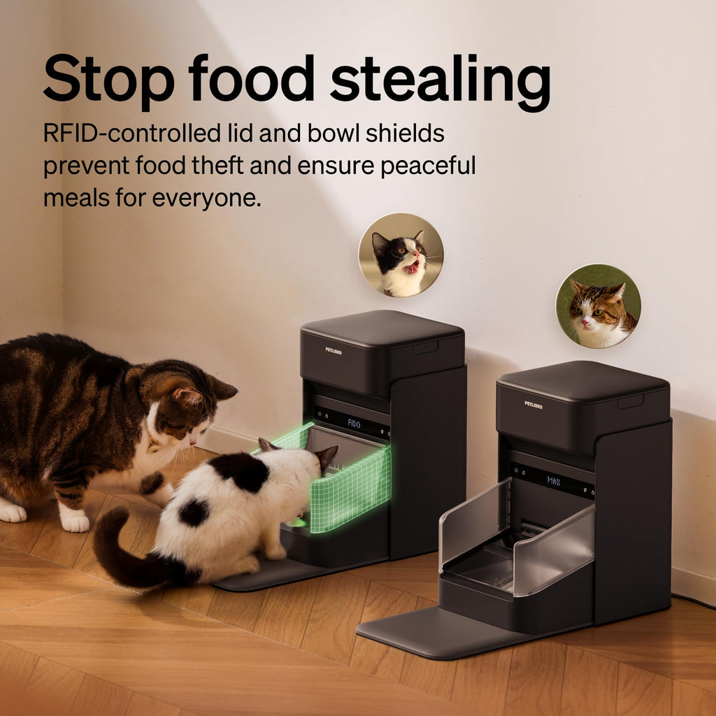 RFID Automatic Cat Feeders for 2 Cats B62939