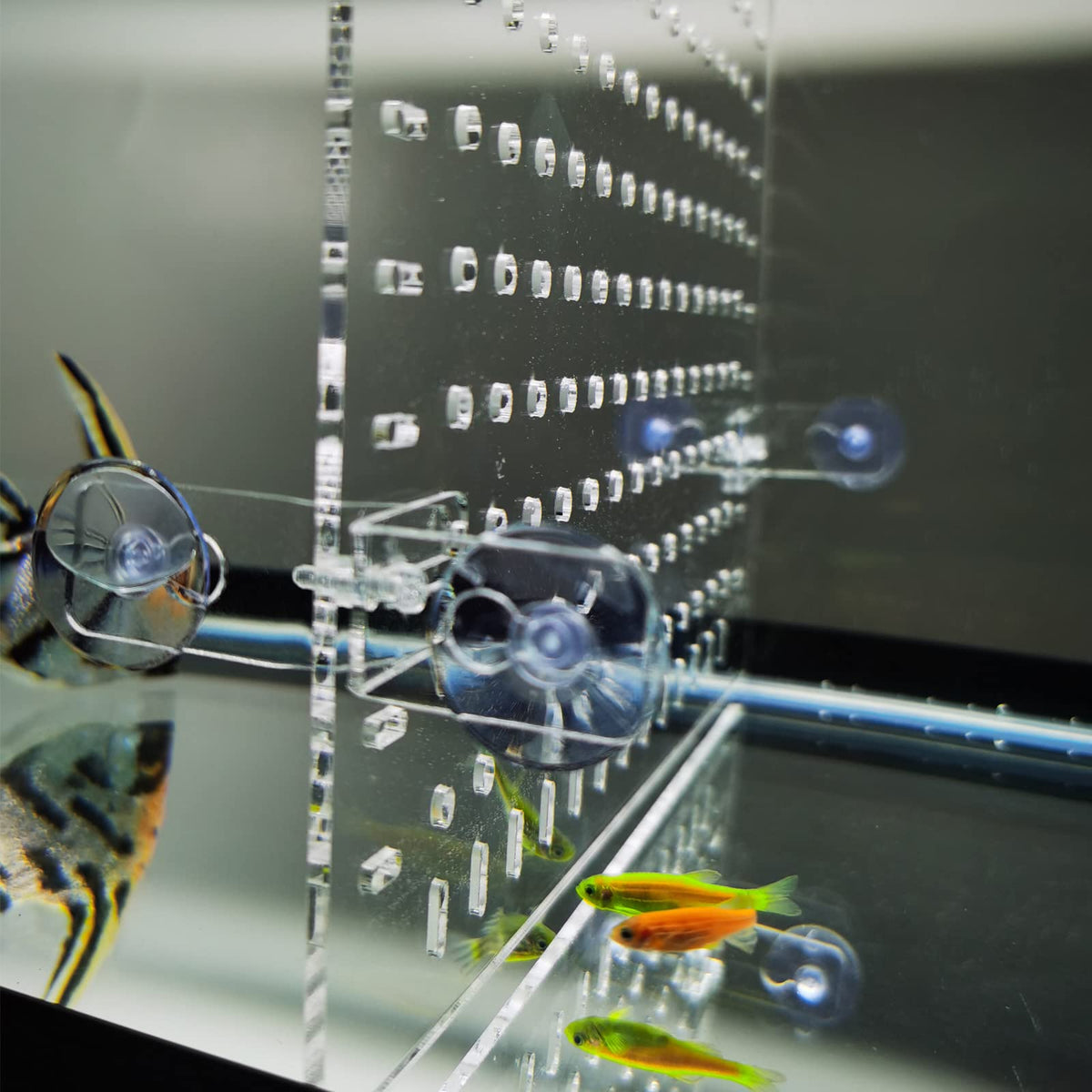 Clear Aquarium Divider O903