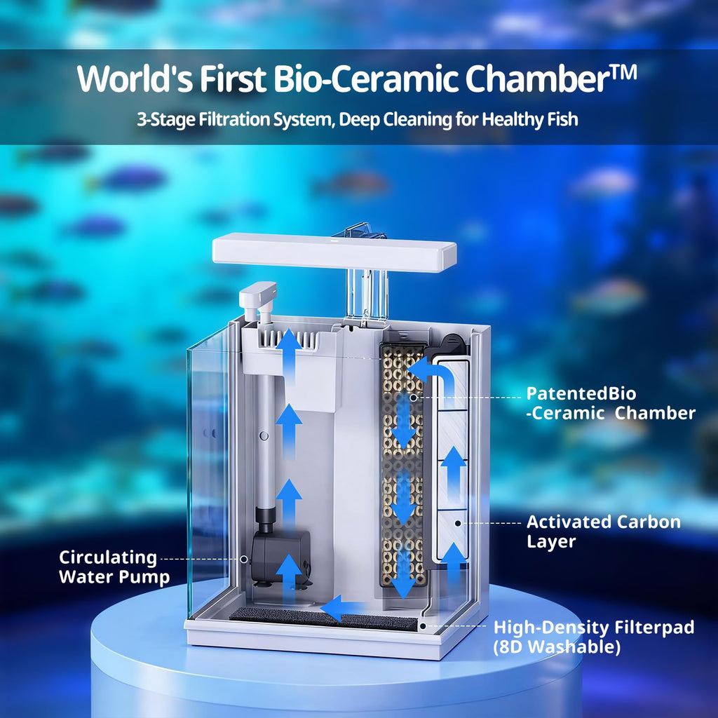 2 Gallon Aquarium Kit with Filtration & LED Light X87864