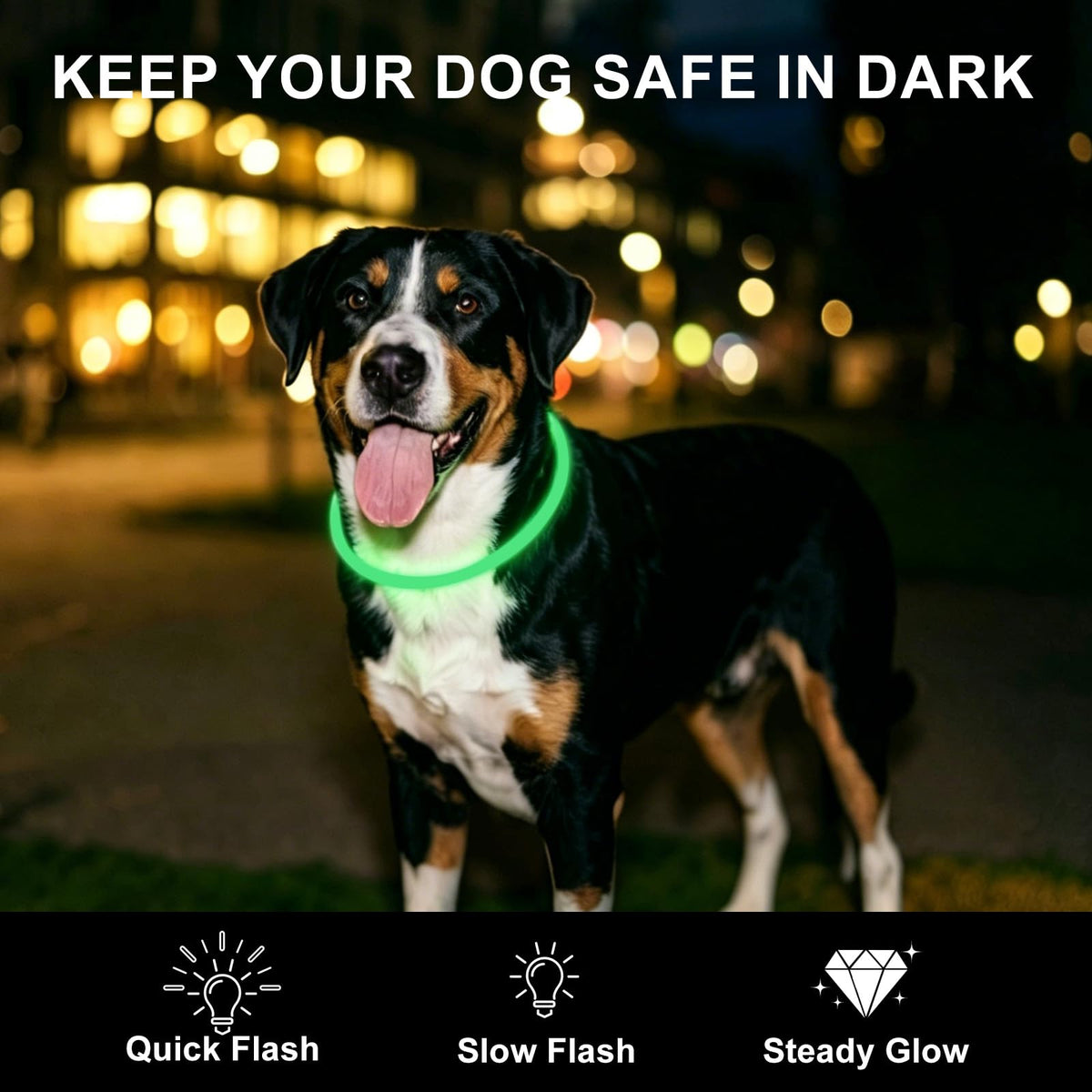 2-Pack Rechargeable LED Dog Collar G995759