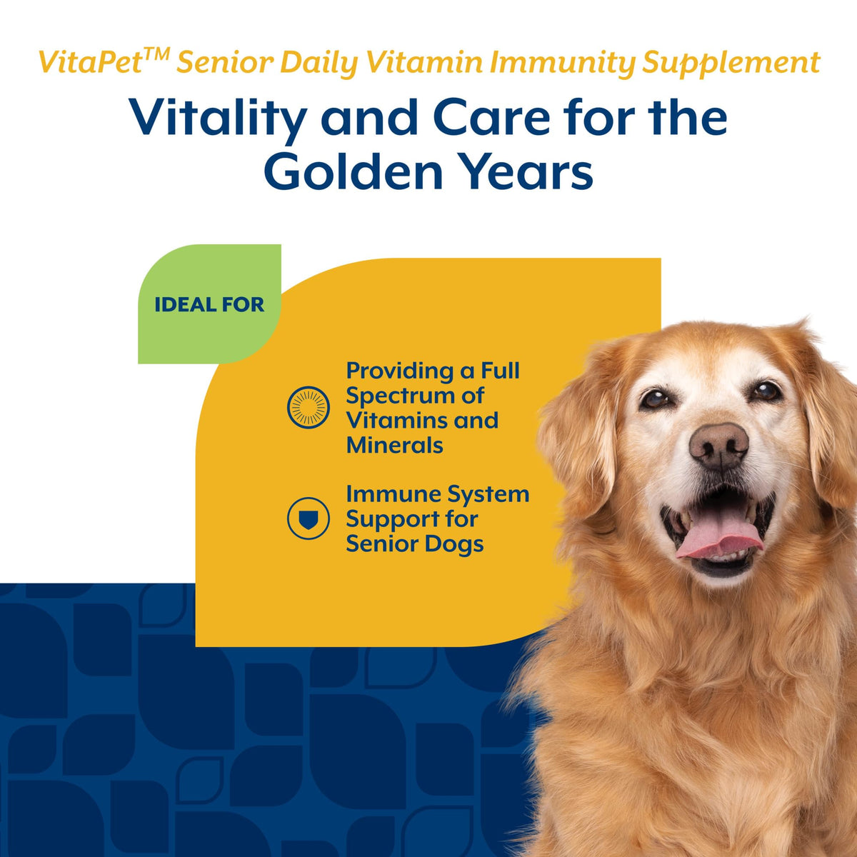 Senior Daily Vitamin Dog Supplements 120 Ct L184313