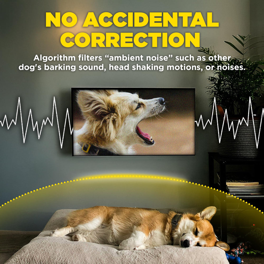 Waterproof E-Collar for 10 lb Dogs H71176
