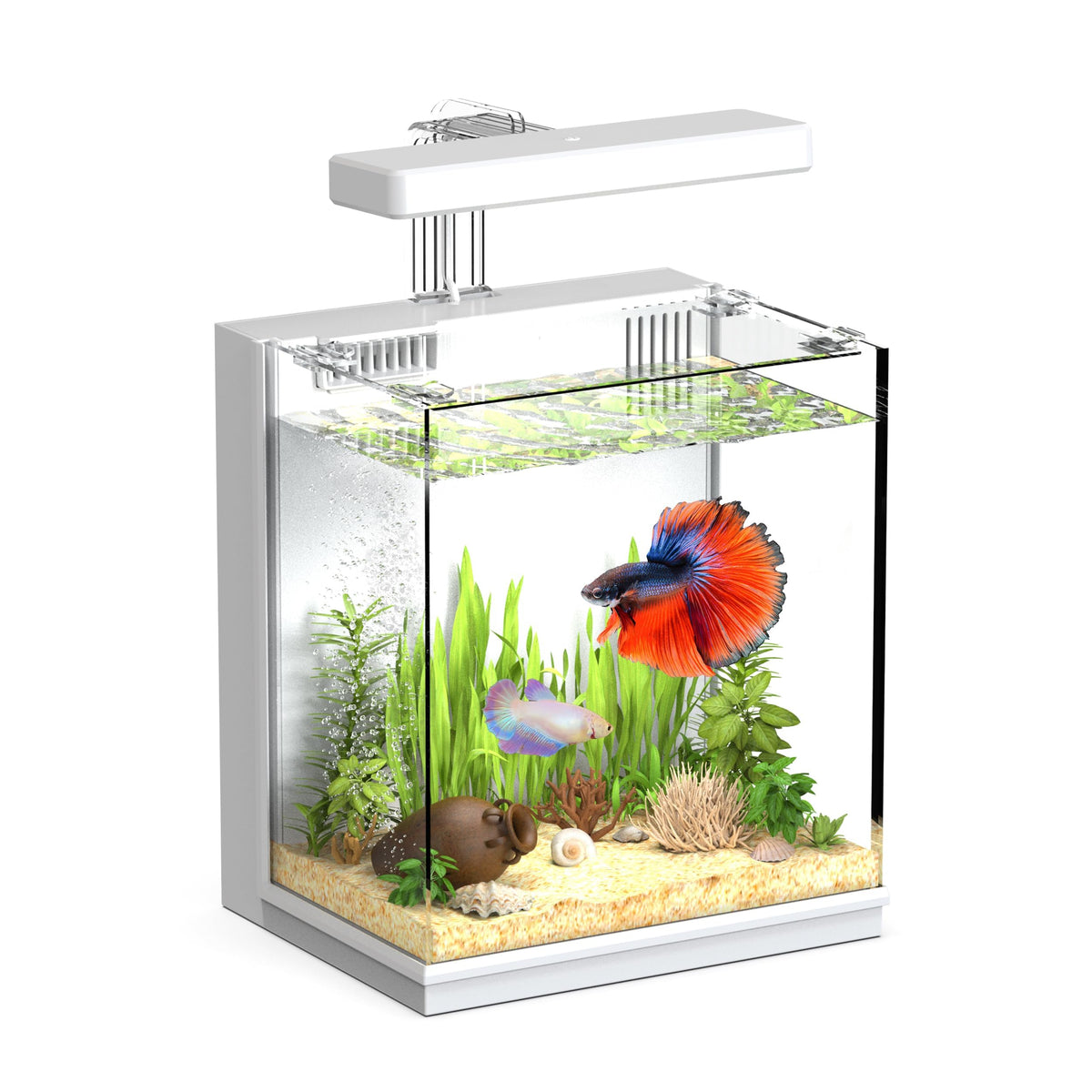 2 Gallon Aquarium Kit with Filtration & LED Light X87864