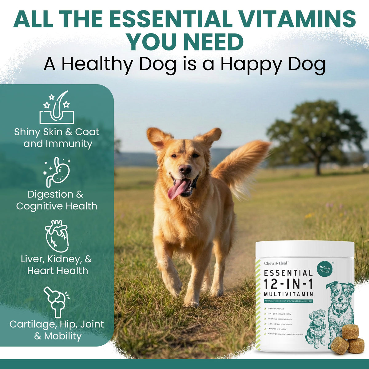 Dog Vitamin and Supplement Chews, 120 Ct I478