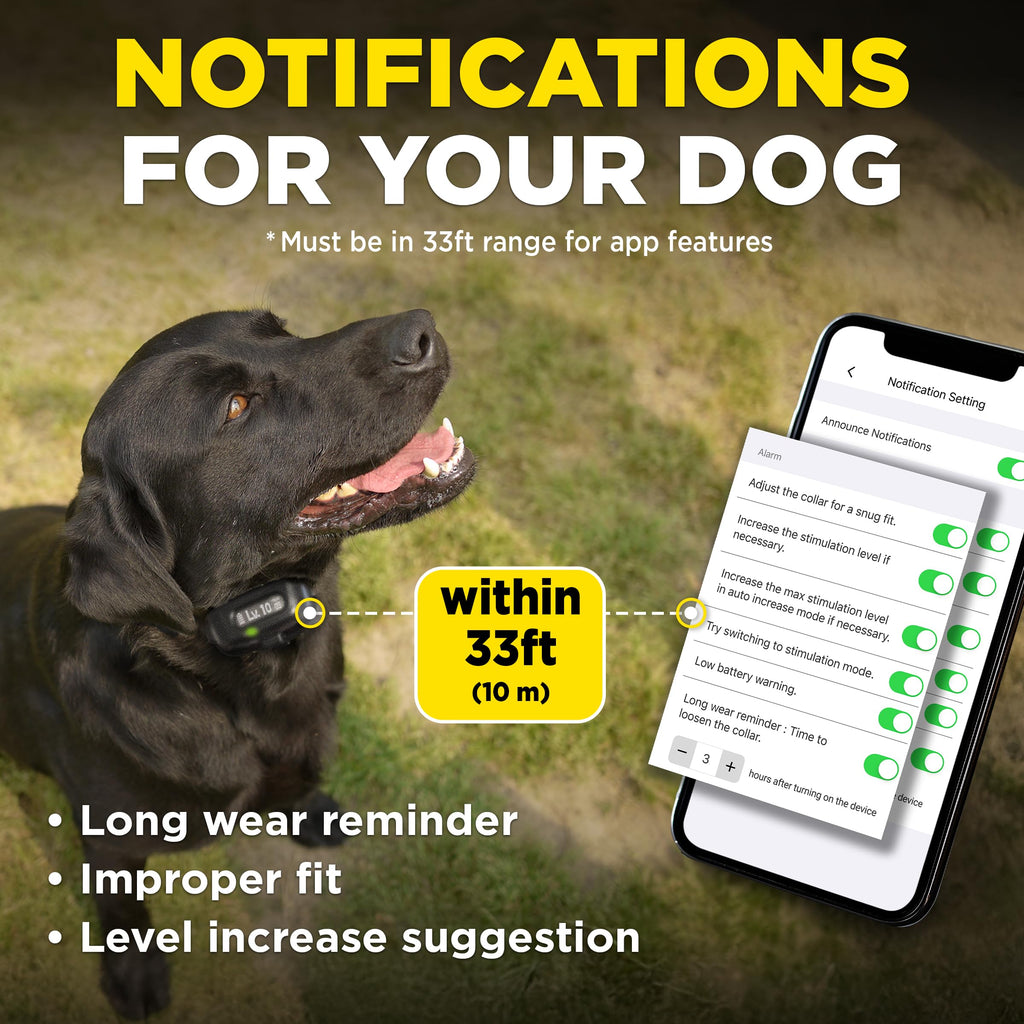 Waterproof E-Collar for 10 lb Dogs H71176
