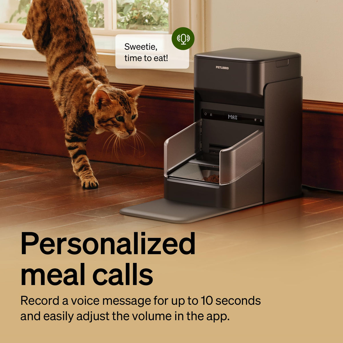 RFID Automatic Cat Feeders for 2 Cats B62939