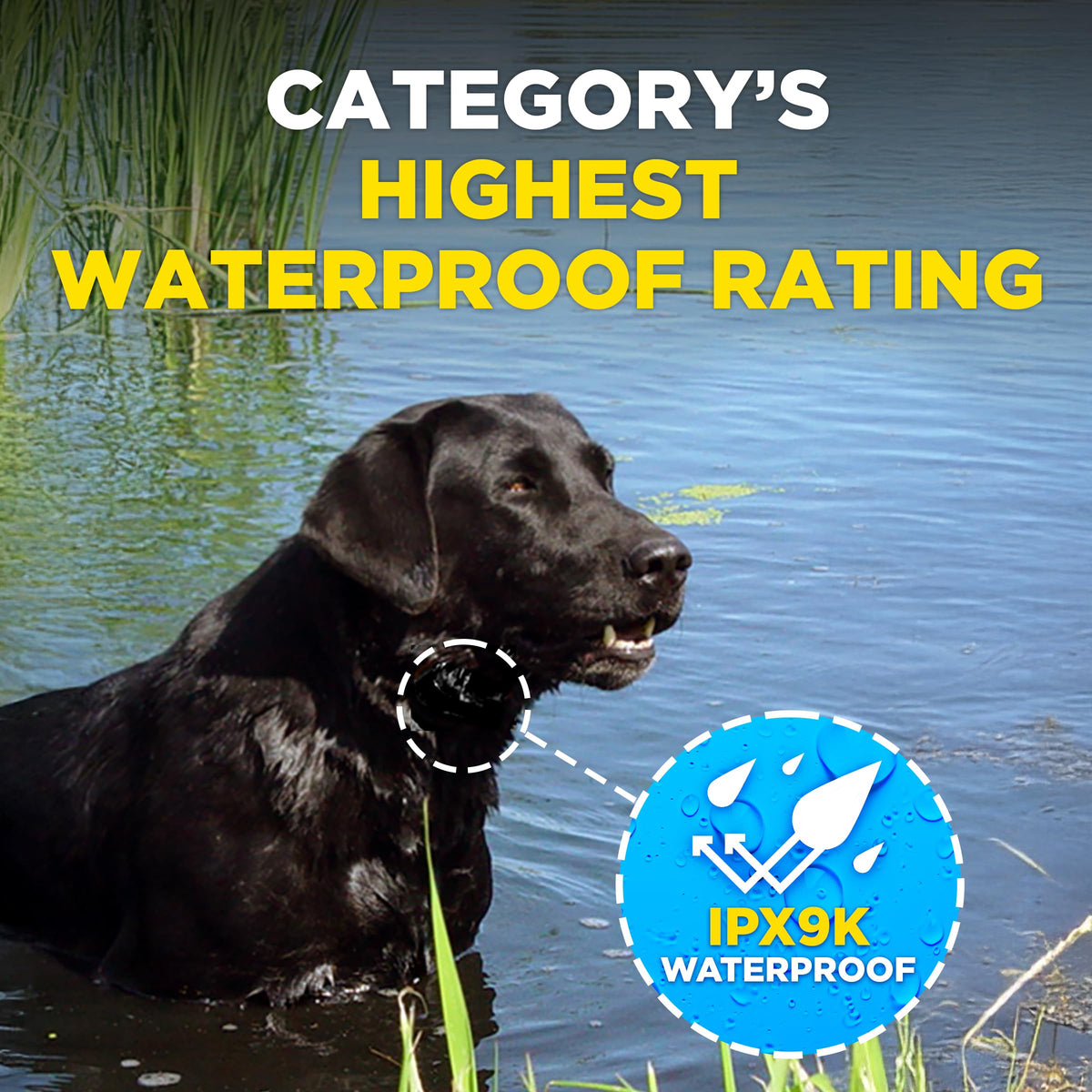 Waterproof E-Collar for 10 lb Dogs H71176