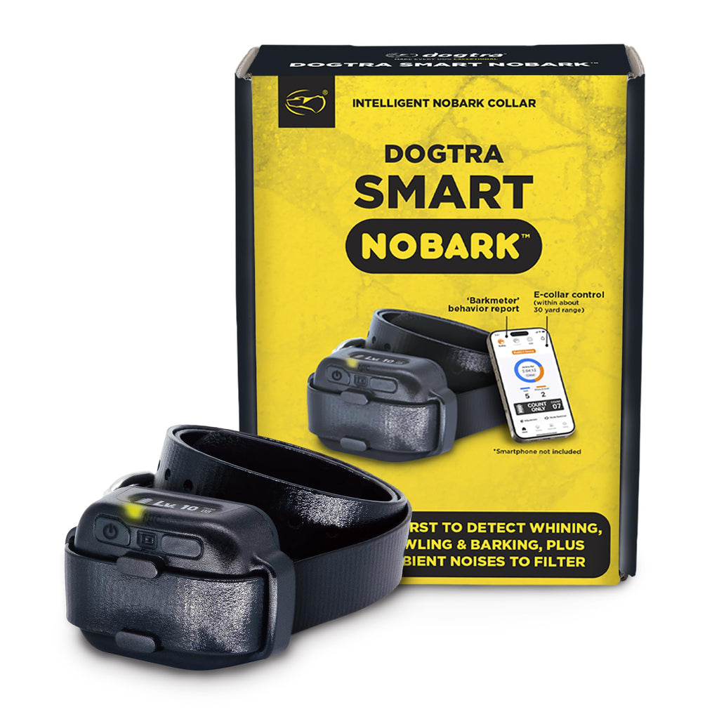 Waterproof E-Collar for 10 lb Dogs H71176