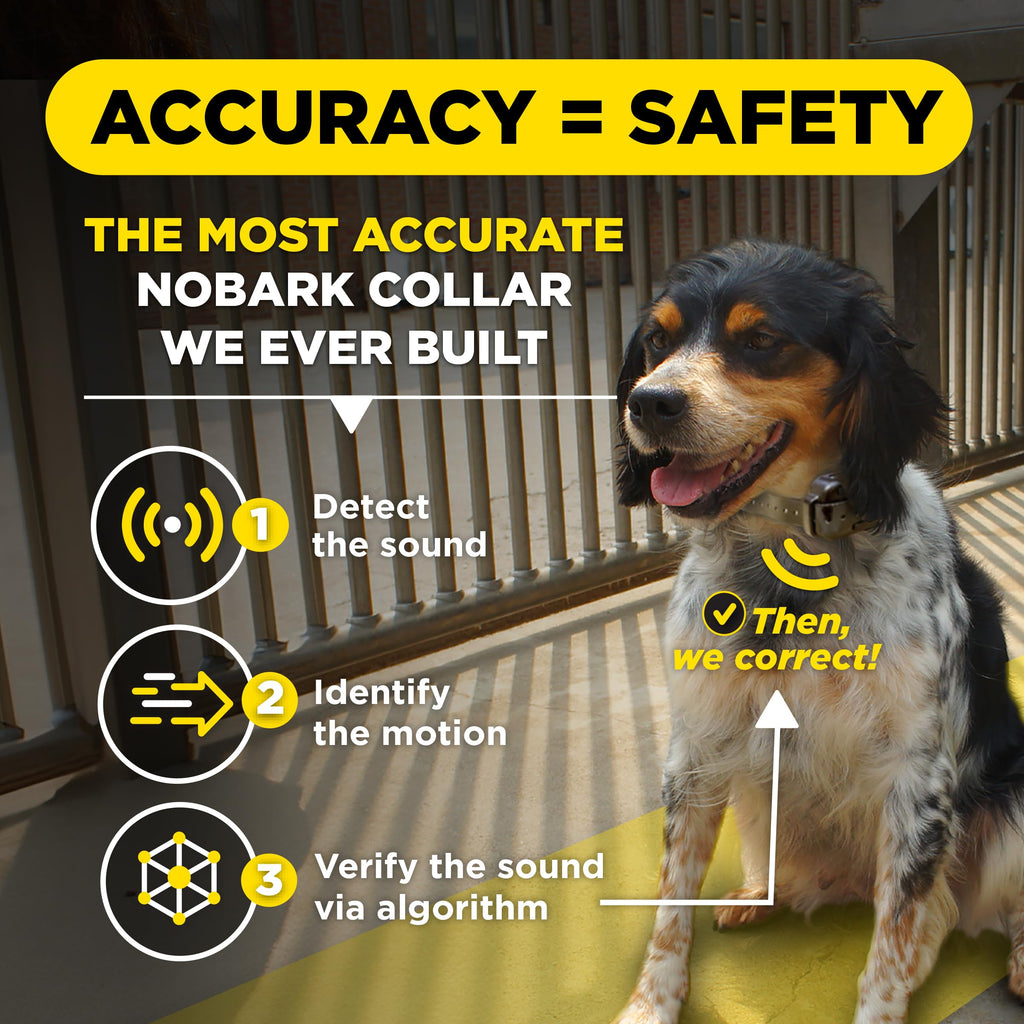 Waterproof E-Collar for 10 lb Dogs H71176