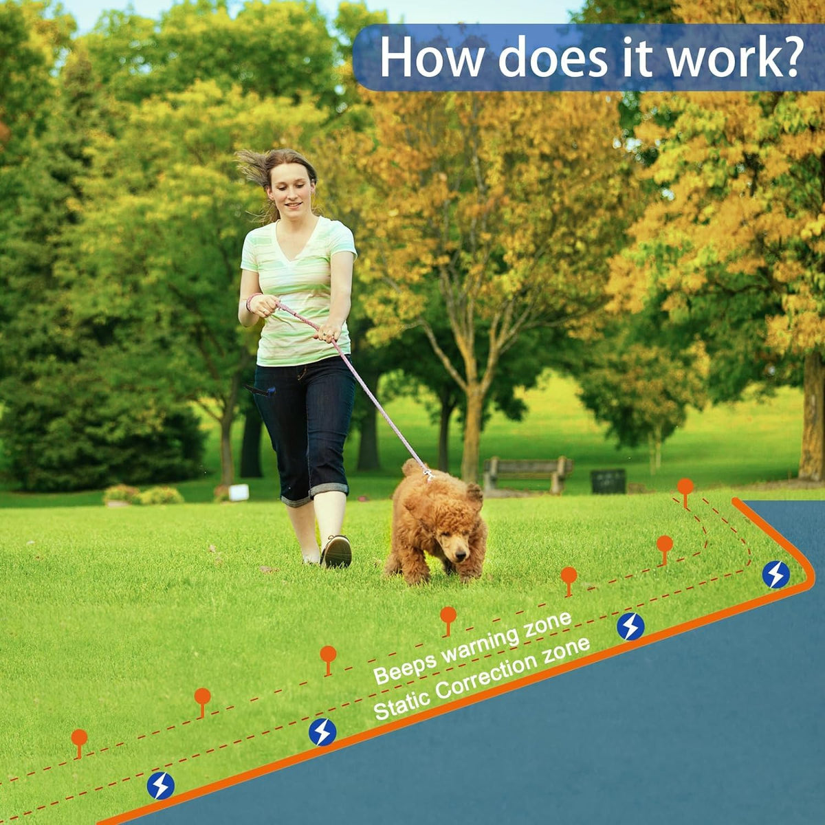 In-Ground Electric Dog Fence System with Waterproof Training Collar Z1523