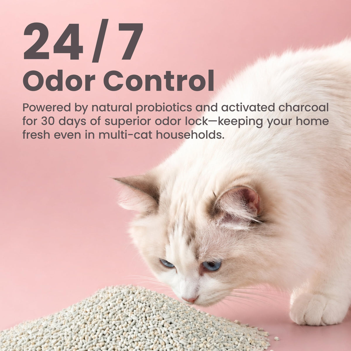 Tofu Cat Litter 18lb Q129251