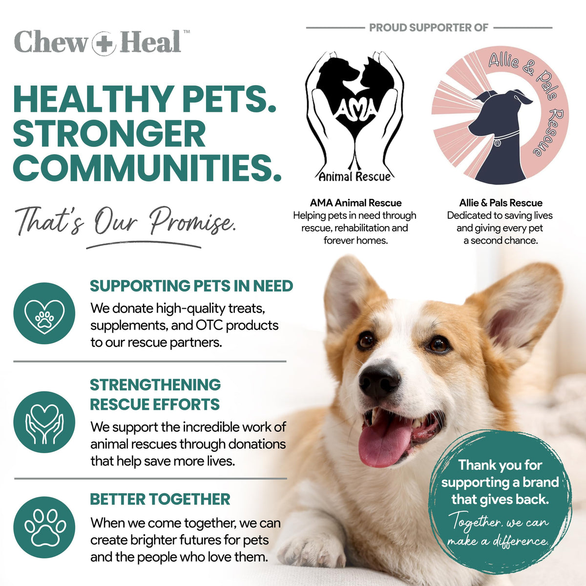 Dog Vitamin and Supplement Chews, 120 Ct I478