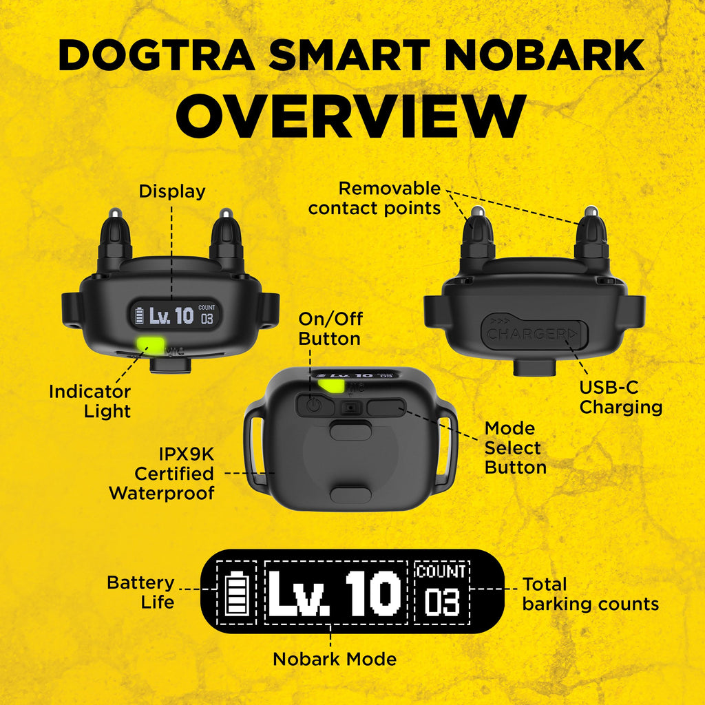 Waterproof E-Collar for 10 lb Dogs H71176